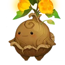 Odong Seed