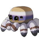 Spooder