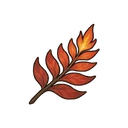 Flaming Fern