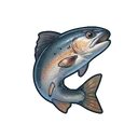 Frisky Trout