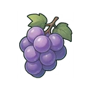 Frost Grapes