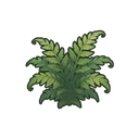 Mana Golem Fern