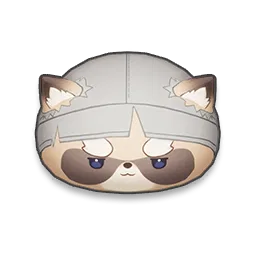 Bleacher Raccoonie
